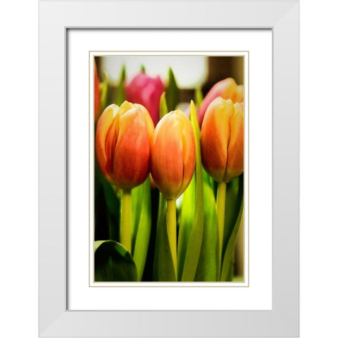 Radiant White Modern Wood Framed Art Print with Double Matting by Manelis, Jessica