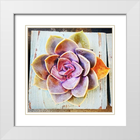 Rooting  for You White Modern Wood Framed Art Print with Double Matting by Manelis, Jessica