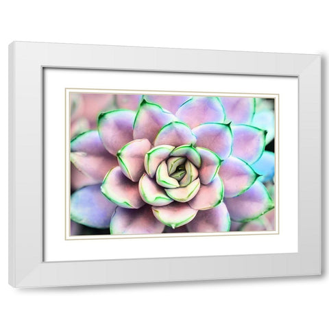 Succ  You White Modern Wood Framed Art Print with Double Matting by Manelis, Jessica