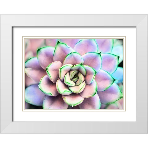 Succ  You White Modern Wood Framed Art Print with Double Matting by Manelis, Jessica