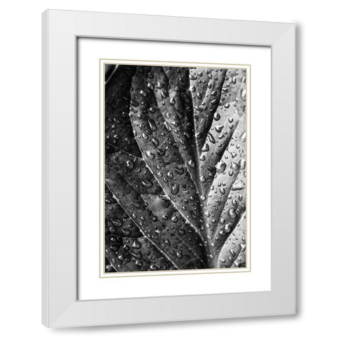 Such  a Morning White Modern Wood Framed Art Print with Double Matting by Manelis, Jessica