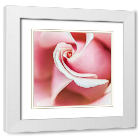 Wholly  Joyous White Modern Wood Framed Art Print with Double Matting by Manelis, Jessica