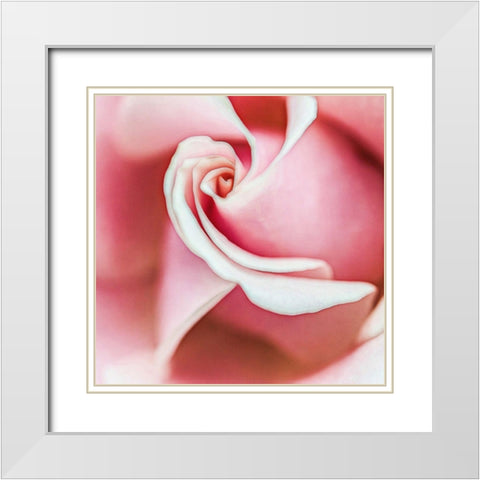 Wholly  Joyous White Modern Wood Framed Art Print with Double Matting by Manelis, Jessica