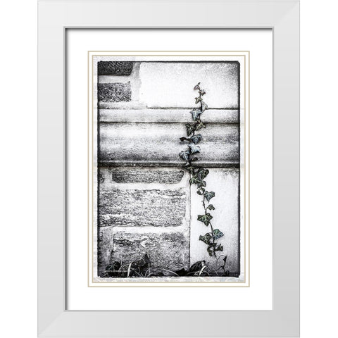 Ivy  League White Modern Wood Framed Art Print with Double Matting by Manelis, Jessica