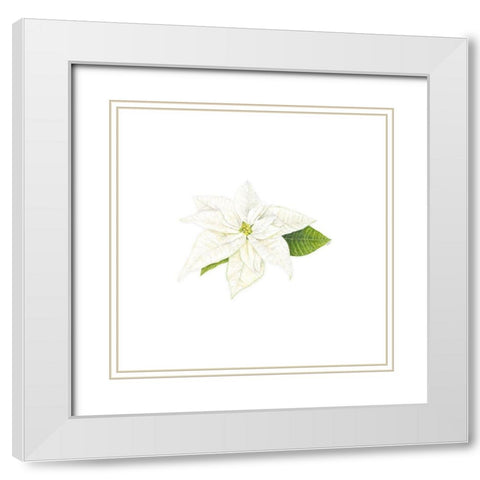 Home for the Holidays icon XIII-White Poinsetta 1 White Modern Wood Framed Art Print with Double Matting by Reed, Tara