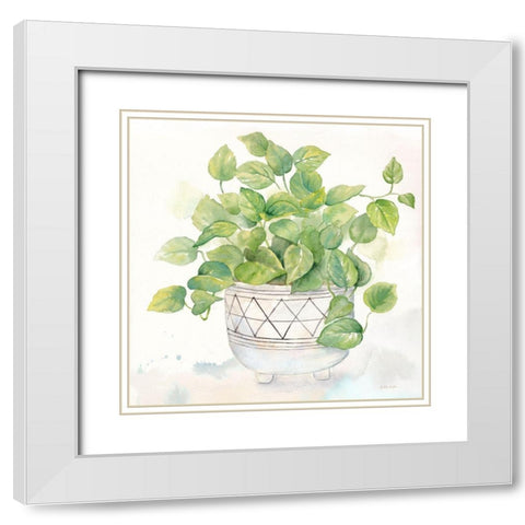 Houseplant I-Philodendron White Modern Wood Framed Art Print with Double Matting by Coulter, Cynthia