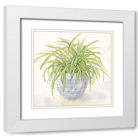 Houseplant II-Spider Plant White Modern Wood Framed Art Print with Double Matting by Coulter, Cynthia