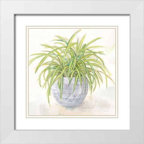 Houseplant II-Spider Plant White Modern Wood Framed Art Print with Double Matting by Coulter, Cynthia