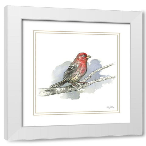 Birds And Branches IV-House Finch White Modern Wood Framed Art Print with Double Matting by Wilson, Kelsey