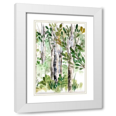 Birch Forest II White Modern Wood Framed Art Print with Double Matting by Chapman, Marcy