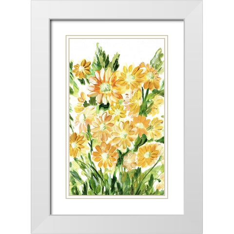 Daisies in Yellow White Modern Wood Framed Art Print with Double Matting by Chapman, Marcy