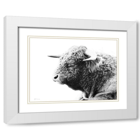 My Highland II White Modern Wood Framed Art Print with Double Matting by Cusson, Marie Elaine