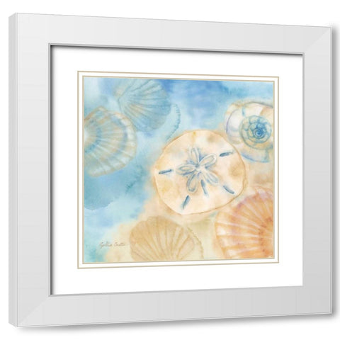 Watercolor Shells III White Modern Wood Framed Art Print with Double Matting by Coulter, Cynthia