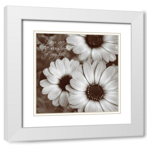Sepia Blossoms I White Modern Wood Framed Art Print with Double Matting by Romita, Denise
