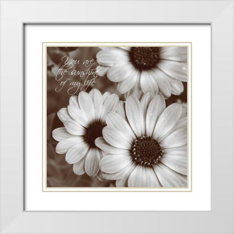 Sepia Blossoms I White Modern Wood Framed Art Print with Double Matting by Romita, Denise