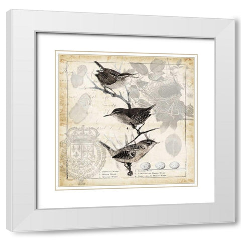 Botanical Birds Black Cream I White Modern Wood Framed Art Print with Double Matting by Tre Sorelle Studios