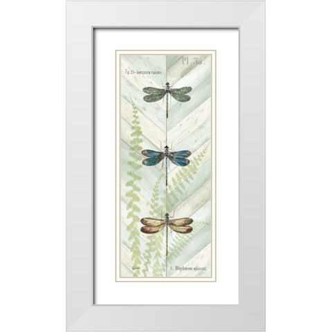 Dragonfly Botanical Panels I White Modern Wood Framed Art Print with Double Matting by Tre Sorelle Studios