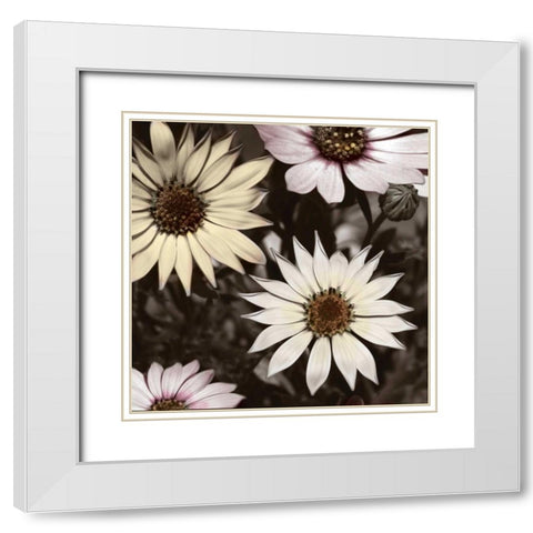 Hint of Spring I White Modern Wood Framed Art Print with Double Matting by Romita, Denise