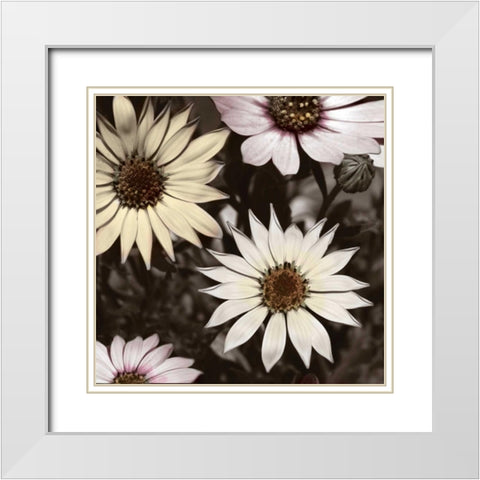 Hint of Spring I White Modern Wood Framed Art Print with Double Matting by Romita, Denise