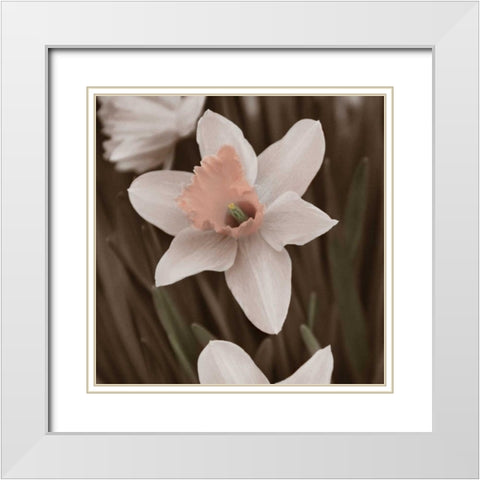 Hint of Spring II White Modern Wood Framed Art Print with Double Matting by Romita, Denise