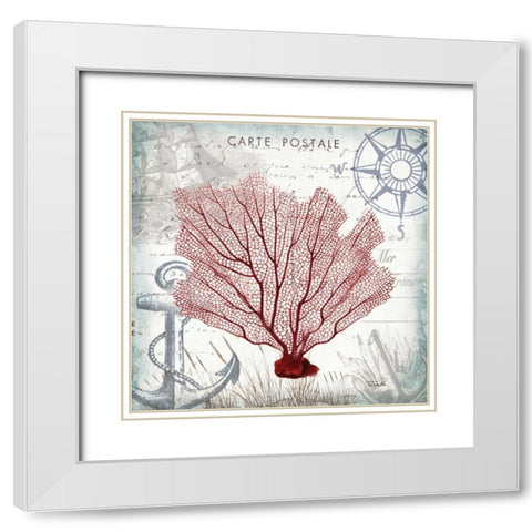 Coastal Sea Life I  White Modern Wood Framed Art Print with Double Matting by Tre Sorelle Studios