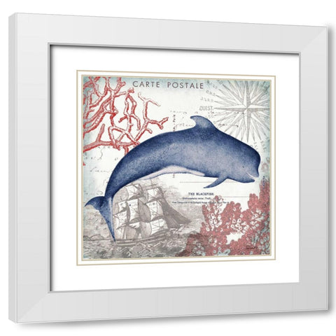 Coastal Sea Life VI  White Modern Wood Framed Art Print with Double Matting by Tre Sorelle Studios