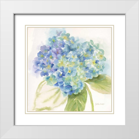 Painted Hydrangeas II White Modern Wood Framed Art Print with Double Matting by Coulter, Cynthia