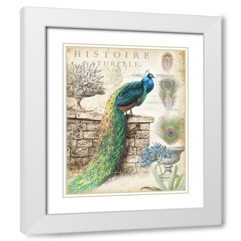 Vintage Peacocks I White Modern Wood Framed Art Print with Double Matting by Tre Sorelle Studios