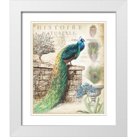 Vintage Peacocks I White Modern Wood Framed Art Print with Double Matting by Tre Sorelle Studios