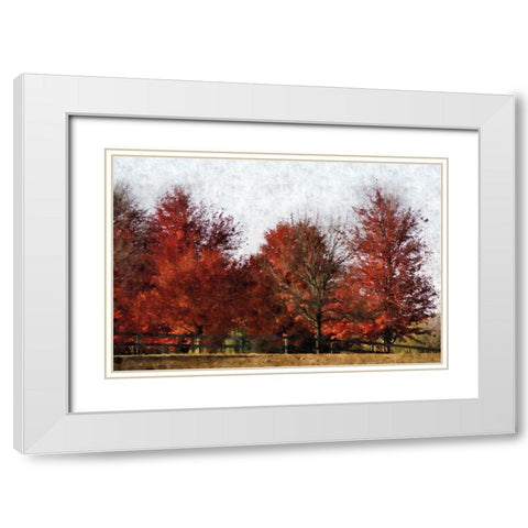 Fall Reds White Modern Wood Framed Art Print with Double Matting by Romita, Denise