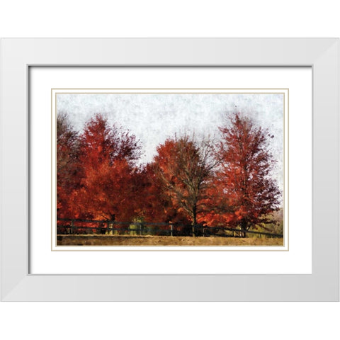 Fall Reds White Modern Wood Framed Art Print with Double Matting by Romita, Denise