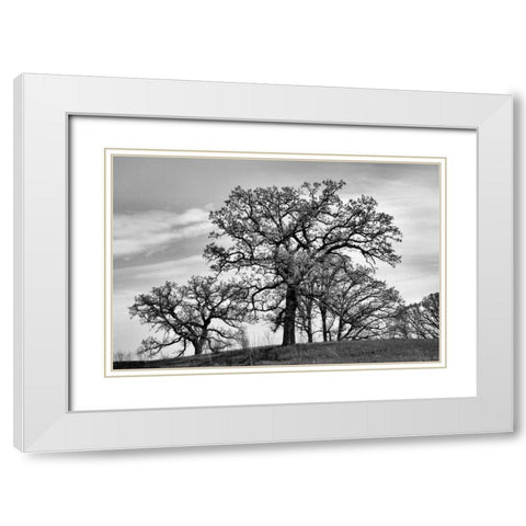 Parkside White Modern Wood Framed Art Print with Double Matting by Romita, Denise