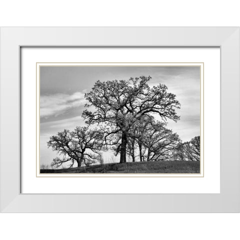 Parkside White Modern Wood Framed Art Print with Double Matting by Romita, Denise