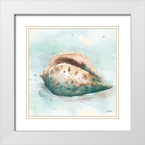 Watercolor Shells I White Modern Wood Framed Art Print with Double Matting by Tre Sorelle Studios