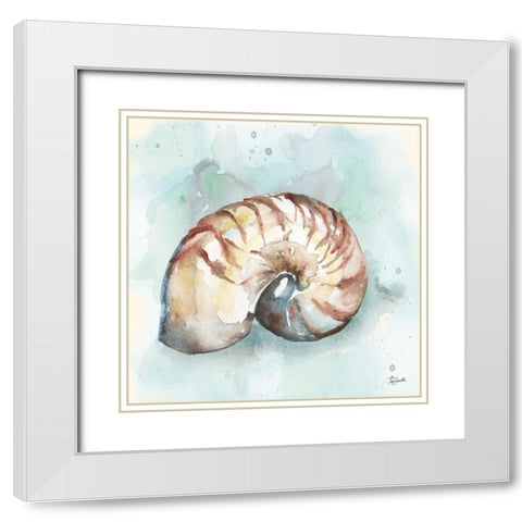 Watercolor Shells II White Modern Wood Framed Art Print with Double Matting by Tre Sorelle Studios