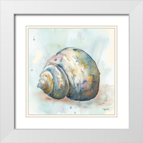 Watercolor Shells IV White Modern Wood Framed Art Print with Double Matting by Tre Sorelle Studios