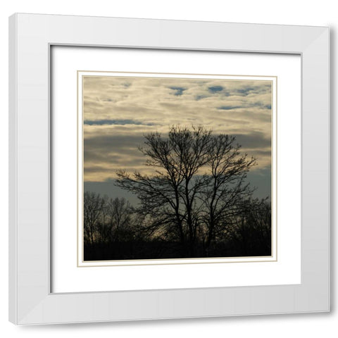 Morning Silhouette White Modern Wood Framed Art Print with Double Matting by Romita, Denise