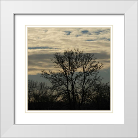 Morning Silhouette White Modern Wood Framed Art Print with Double Matting by Romita, Denise