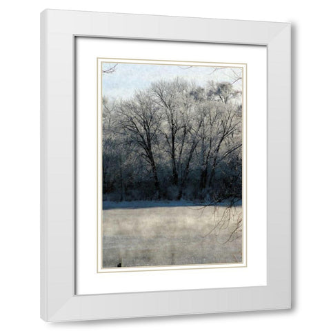 Ice Mist White Modern Wood Framed Art Print with Double Matting by Romita, Denise