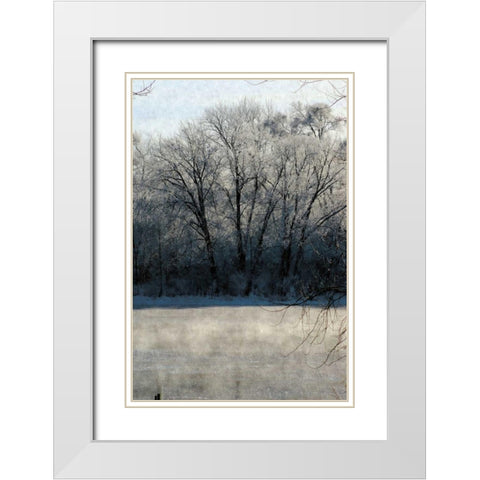 Ice Mist White Modern Wood Framed Art Print with Double Matting by Romita, Denise