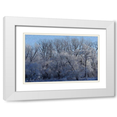 Ice Land White Modern Wood Framed Art Print with Double Matting by Romita, Denise