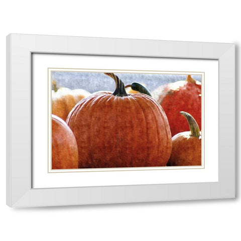 Fall Pumpkin White Modern Wood Framed Art Print with Double Matting by Romita, Denise