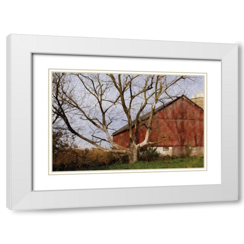 The Old Barn White Modern Wood Framed Art Print with Double Matting by Romita, Denise