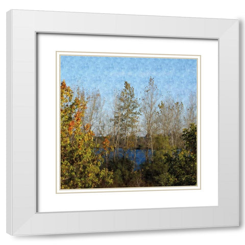 Trees of Fall White Modern Wood Framed Art Print with Double Matting by Romita, Denise