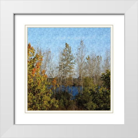 Trees of Fall White Modern Wood Framed Art Print with Double Matting by Romita, Denise