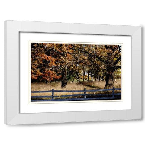 Fenced In White Modern Wood Framed Art Print with Double Matting by Romita, Denise