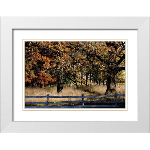 Fenced In White Modern Wood Framed Art Print with Double Matting by Romita, Denise