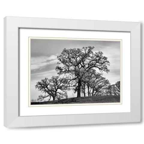 Parkside White Modern Wood Framed Art Print with Double Matting by Romita, Denise