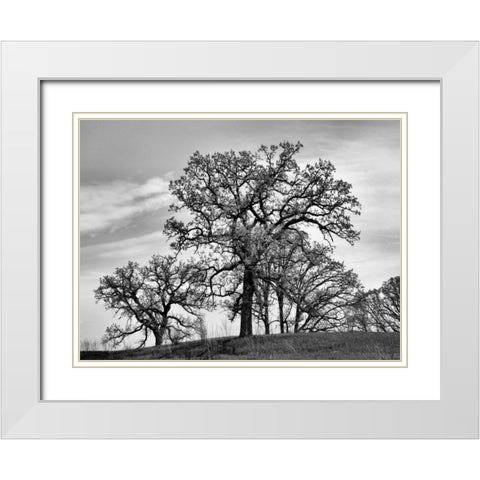 Parkside White Modern Wood Framed Art Print with Double Matting by Romita, Denise