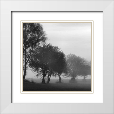 Fog Through the Trees I White Modern Wood Framed Art Print with Double Matting by Romita, Denise